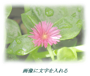 cg110.gif